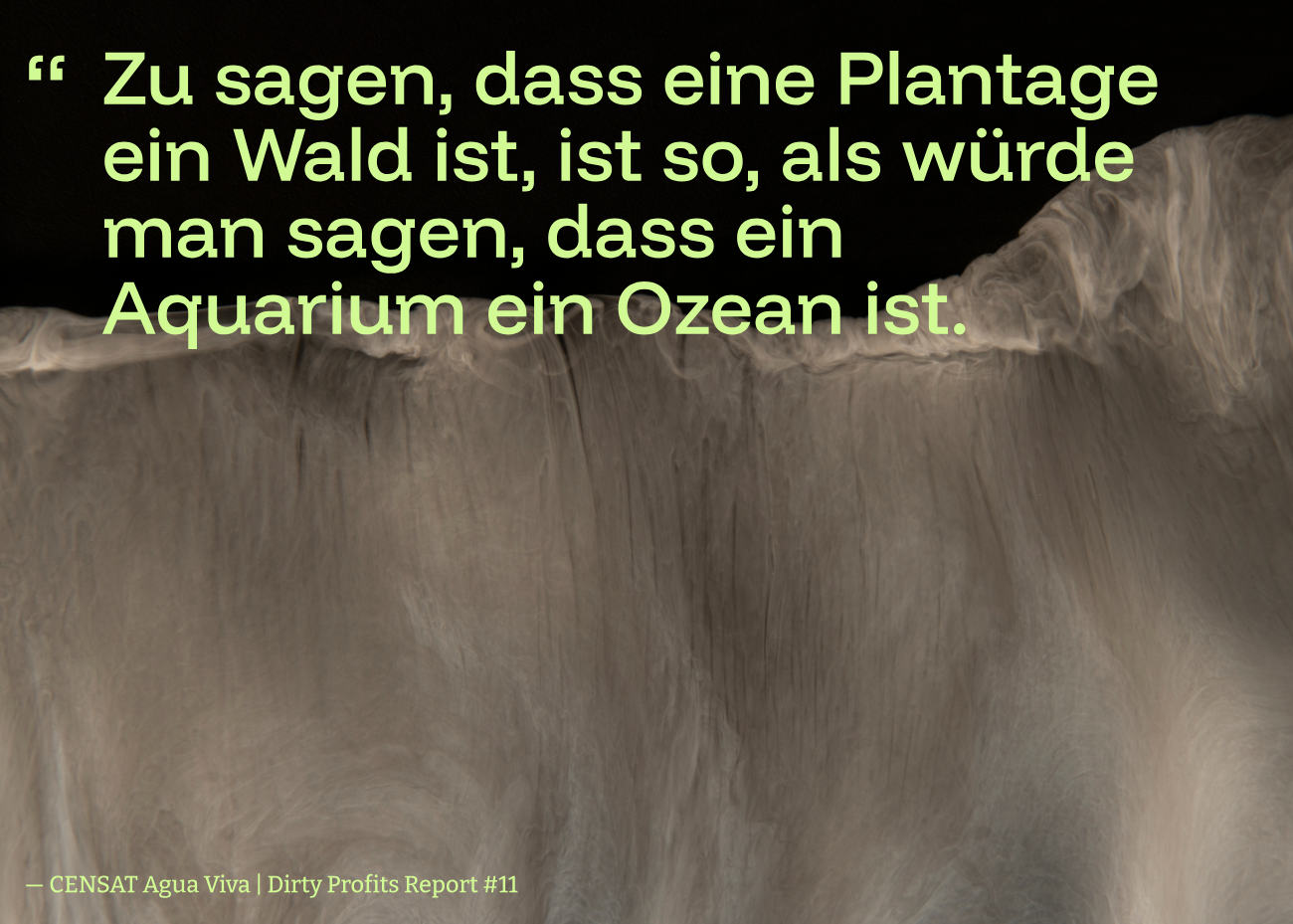 Auf einem abstrakten schwarz-braunen Bild steht in knalligem Grün Zu sagen, dass eine Plantage ein Wald ist, ist so, als würde man sagen, dass ein Aquarium ein Ozean ist. CENSAT Agua Viva | Dirty Profits Report #11.